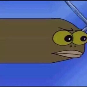 Meet your Posher, Brock